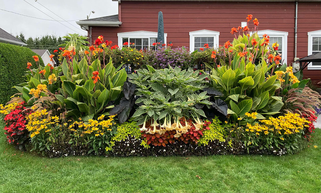 Plantation et aménagement floral résidentiel
