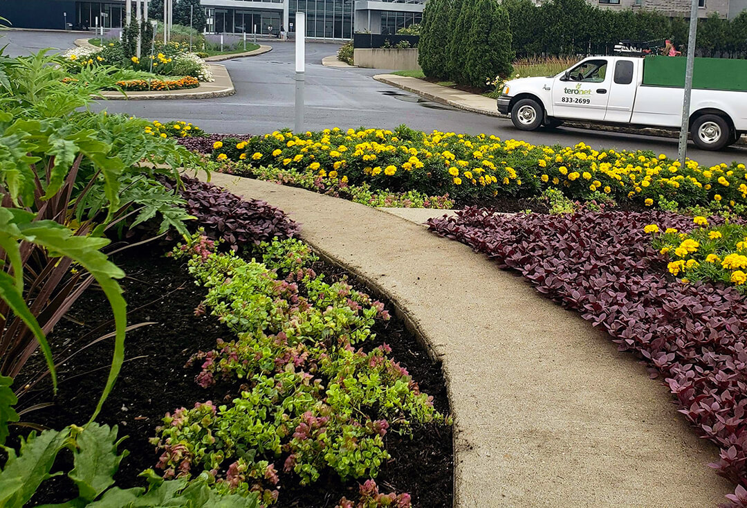 Plantation et aménagement floral pour le Centre de Congrès de Lévis